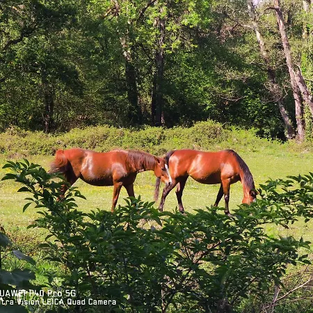 Piso Amplio Y Luminoso, La Pomar *